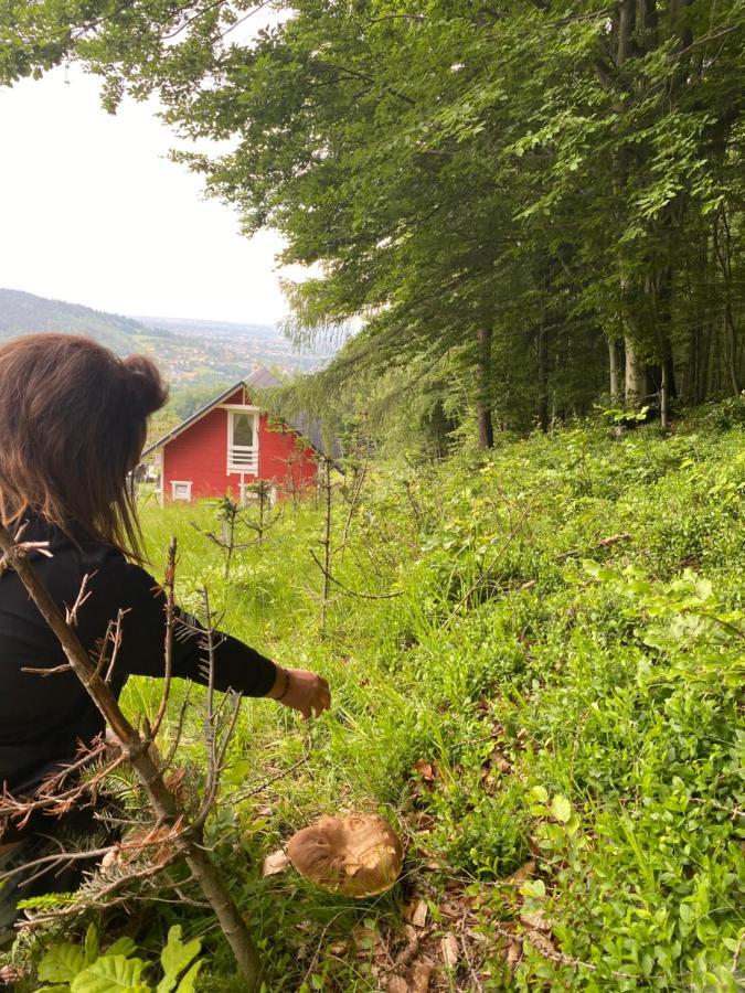 Forest House تارجانيتسه المظهر الخارجي الصورة