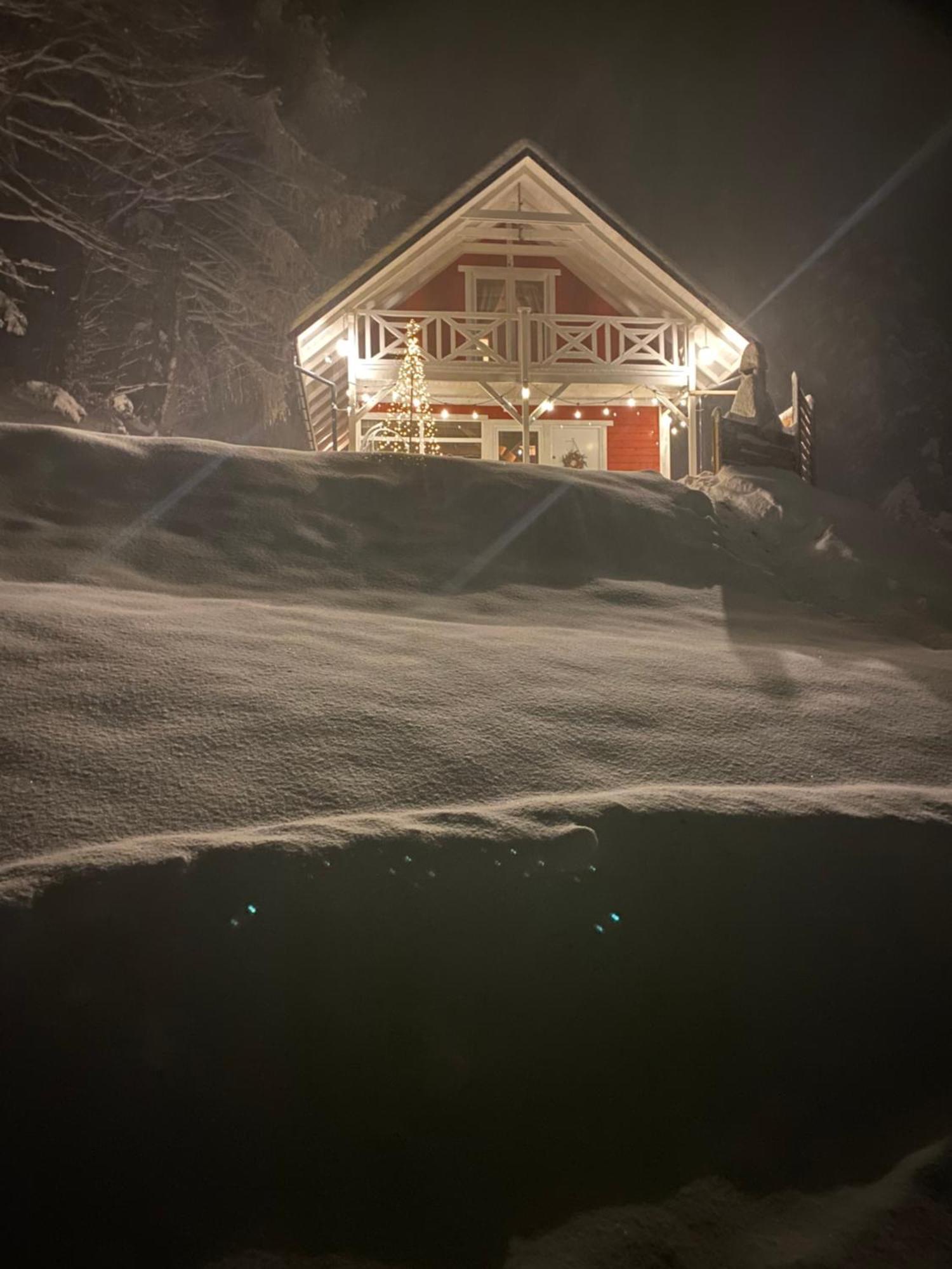 Forest House تارجانيتسه المظهر الخارجي الصورة