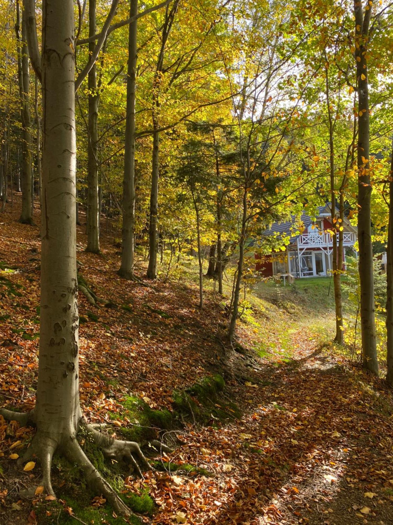 Forest House تارجانيتسه المظهر الخارجي الصورة