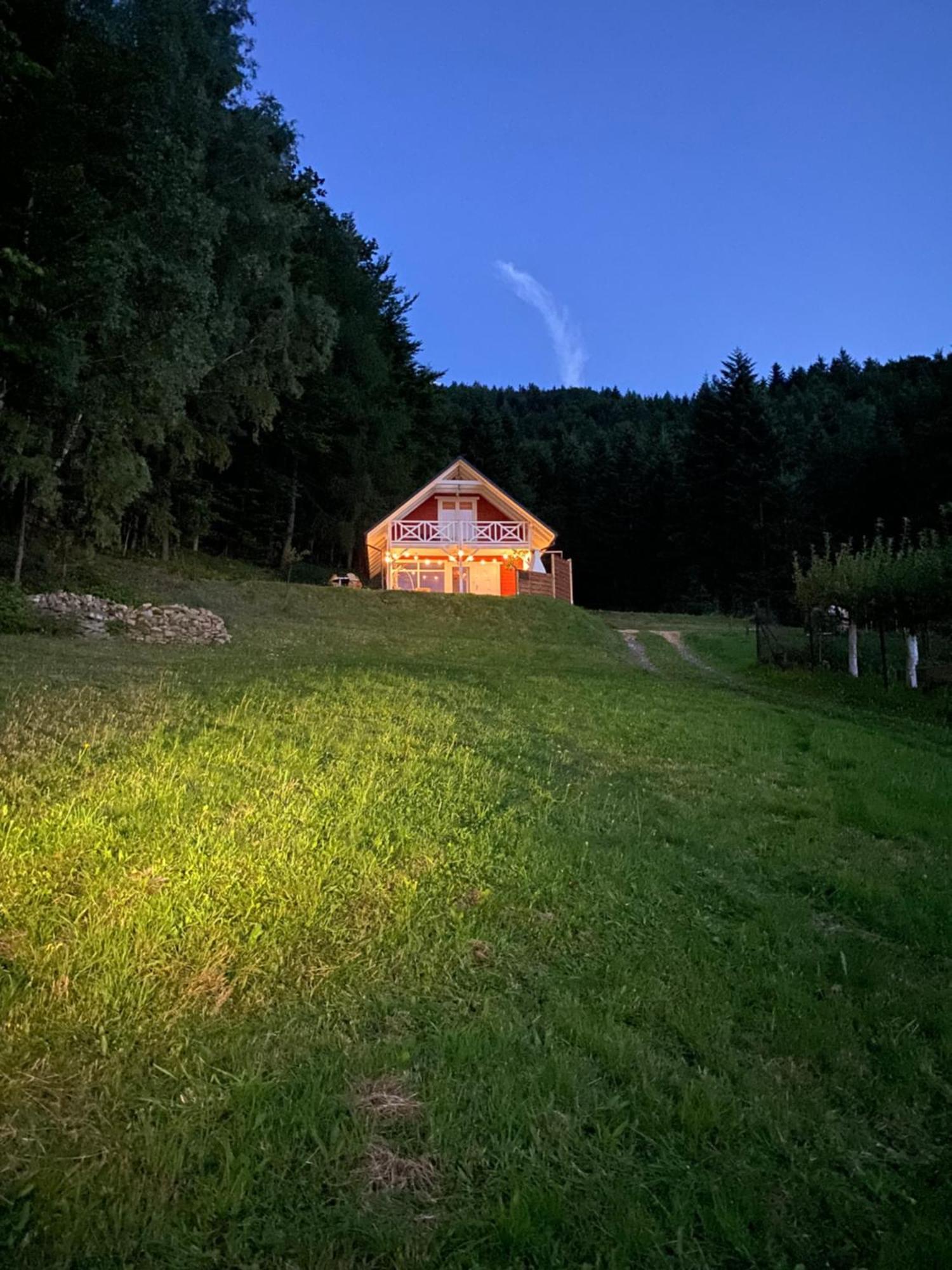 Forest House تارجانيتسه المظهر الخارجي الصورة