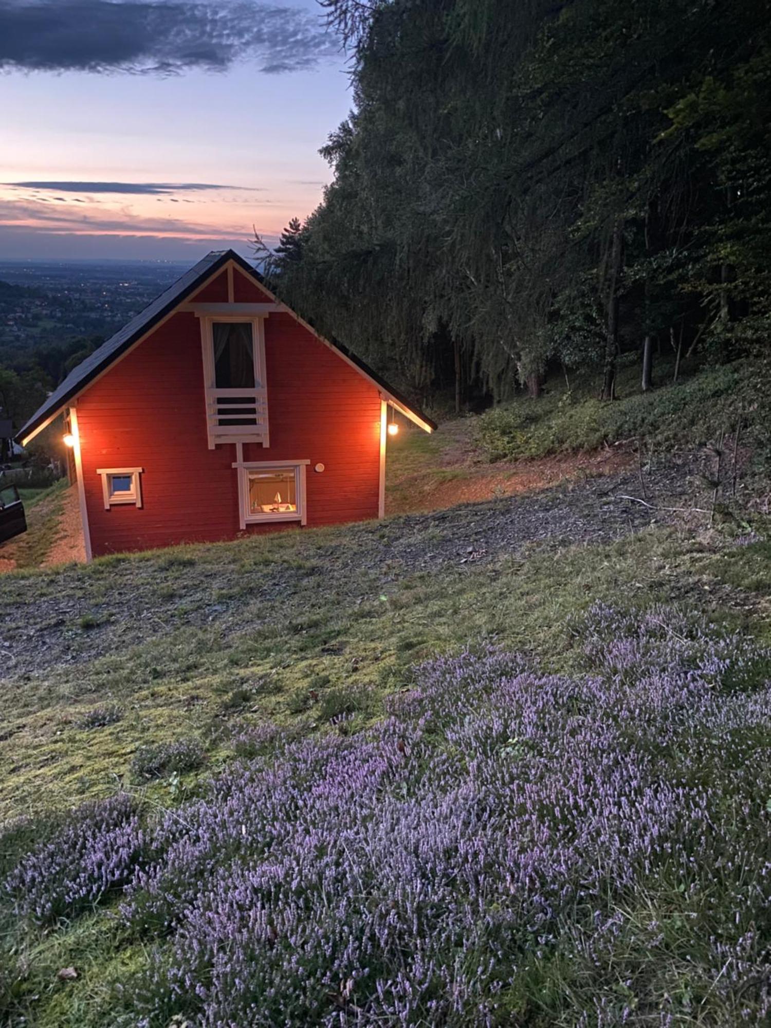 Forest House تارجانيتسه المظهر الخارجي الصورة